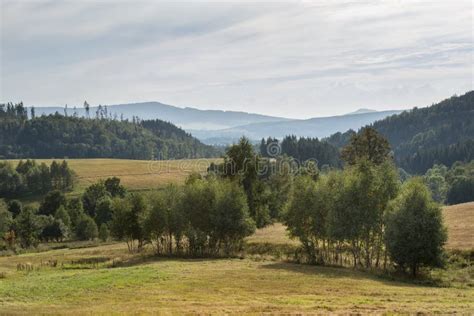 Summer Polish Landscape in Sudety Mountains Stock Photo - Image of europe, pine: 59774778