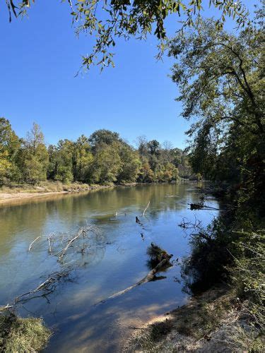 Best Hikes and Trails in Bogue Chitto State Park | AllTrails