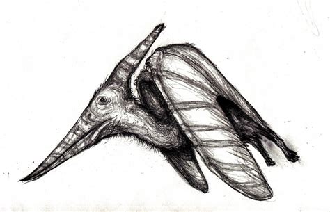 Pteranodon by KingOvRats on DeviantArt