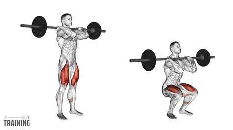 Front Squats - Instructions, Information & Alternatives » Training.fit