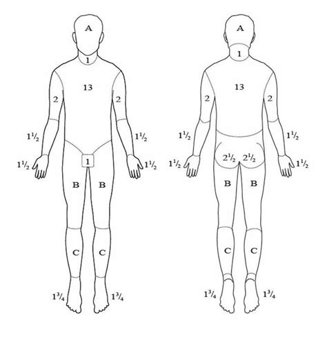 Cureus | Prediction of Mortality in Acute Thermal Burn Patients Using the Abbreviated Burn ...