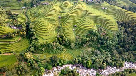 Banaue Rice Terraces: World wonder at risk of collapse as as locals turn to tourism jobs | Euronews