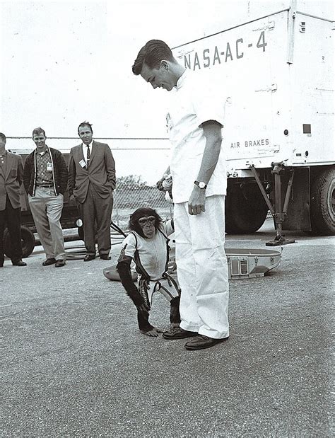 Life story and Photos of Ham, the First Chimpanzee who traveled in Space