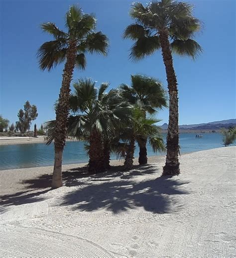 Beautiful Beach In Lake Havasu City, Arizona | Beautiful beaches, Lake havasu city, Lake havasu