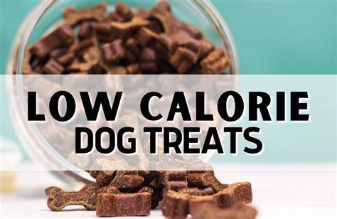 10+ Low Calorie Dog Treats