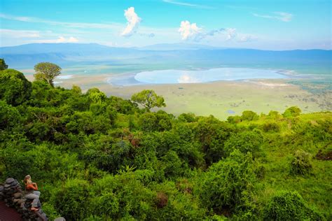 What to Expect on a Ngorongoro Crater Safari: Ultimate Guide