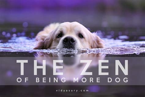 The Zen of Being More Dog | Vidya Sury, Collecting Smiles | Dogs, Motivation activities, Dog books