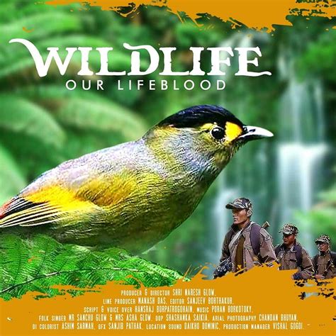 Arunachal wildlife documentary gets global attention | EastMojo