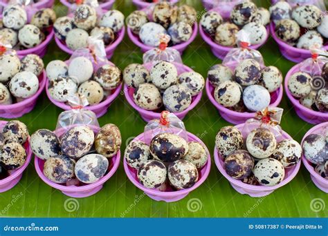 Boiled Quail Eggs With Soy Sauce, Street Food In Thailand Stock Image - Image of eggshell, diet ...