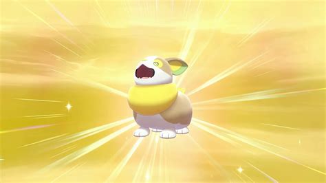 Shiny Yamper after ~900 eggs - YouTube