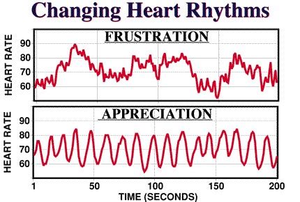 What is Heart Rate Variability Training?