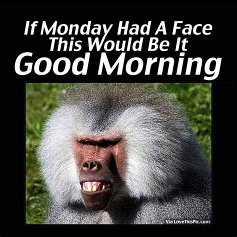 If Monday Had A Face, This Would Be It. Good Morning Pictures, Photos ...