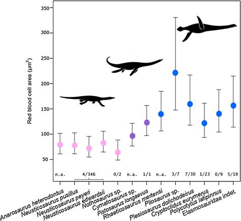 Hematological convergence between Mesozoic marine reptiles (Sauropterygia) and extant aquatic ...