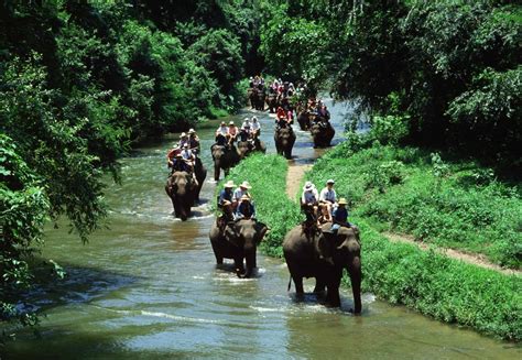 Bali Elephant Ride Tour - Elephant Safari Ride Bali 30% Off