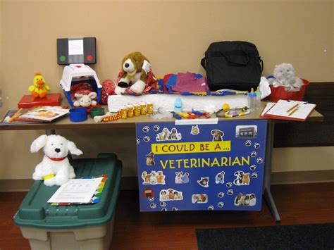 Veterinarian Prop Box | Prop box, Dramatic play area, Dramatic play