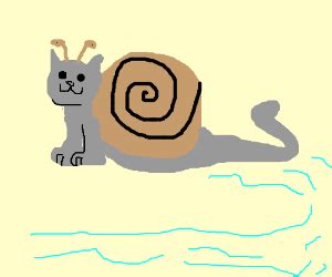 Snail Cat Hybrid - Drawception