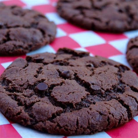 Double Chocolate Chip Cookies | WHAT the HECK do I eat NOW