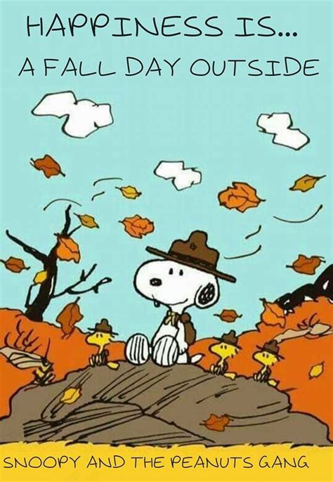 Pin by Clara Knous on Fall Photos | Snoopy quotes, Snoopy, Charlie brown and snoopy