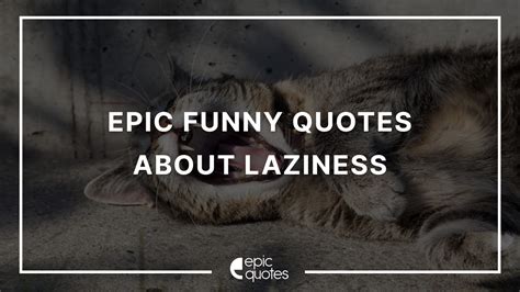 Epic Funny Quotes About Laziness During Quarantine - Epic Quotes