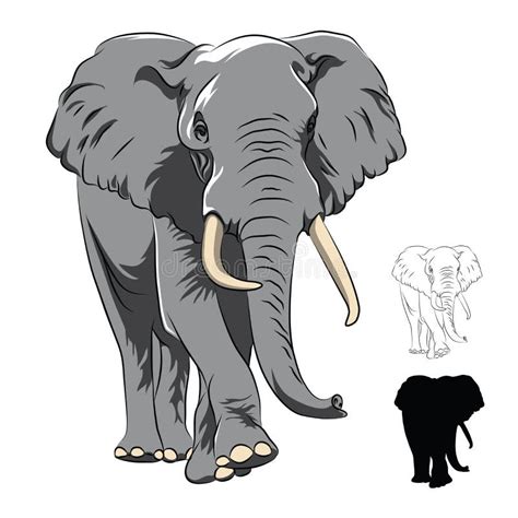 Indian Elephant on white stock illustration. Illustration of strong ...