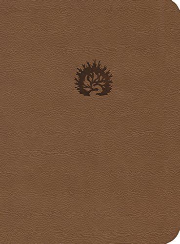 ESV Reformation Study Bible, Light Brown, Leather-Like: 9781567694444 ...