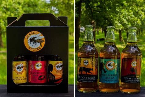 Dorset Nectar Cider Brewery Tour & Tasting – 2 Or 4 People! Cider Brewery, Pint Of Beer, Brewery ...