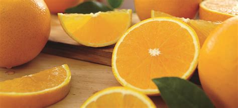 Hale Groves Winter Citrus Guide: Oranges – The Groves