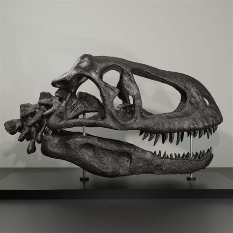 Abelisaurus Skull Handmade Dinosaur Sculpture 30CM 50CM With Great Detail. Fossil Reproduction ...