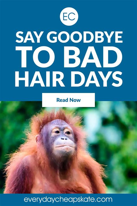 These Hair Products Guarantee No More Bad Hair Days | Bad hair day, Bad hair, Hair day