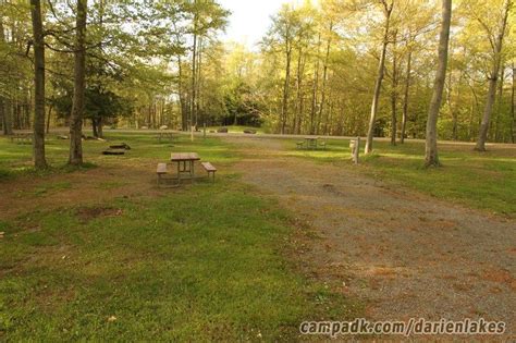 Darien Lakes State Park Campsite Photos - Site 41 | Darien lake, State parks, Campsite