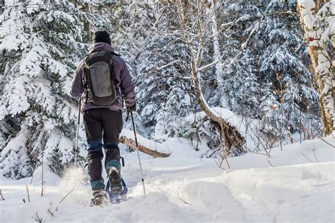 Snowshoeing Tour in Jacques-Cartier National Park | Quatre Natures