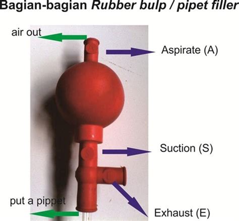 Cara Menggunakan Pipet Ukur Dan Bola Hisap Laboratorium Adalah - IMAGESEE