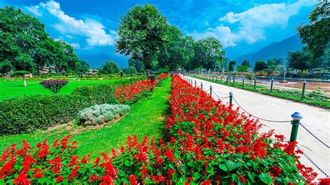 Top 10 Amazing Gardens in Kashmir Valley: Kashmir Mughal Gardens