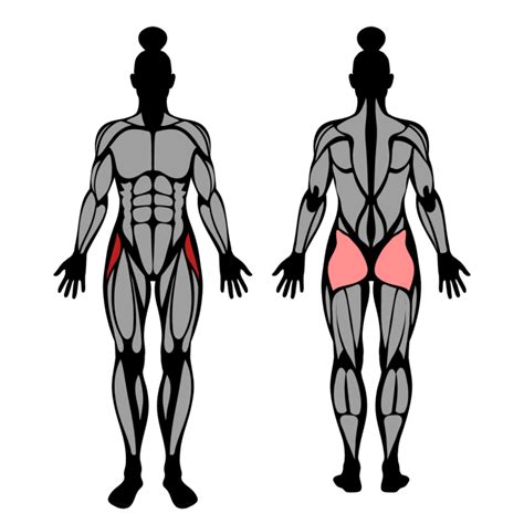 How to Do Hip Abduction Against Band: Muscles Worked & Proper Form – StrengthLog