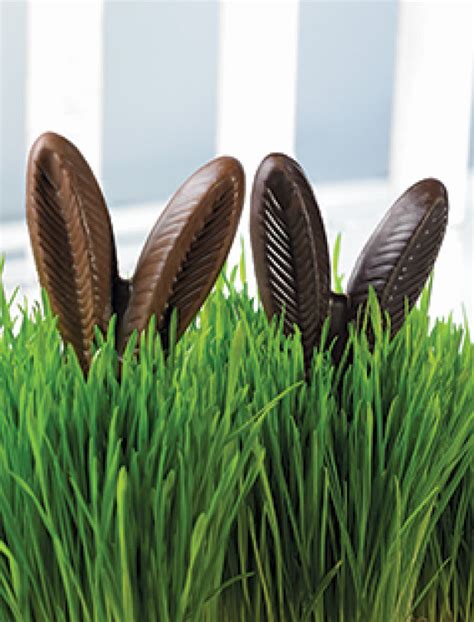 Chocolate bunny ears recalled by St. Louis company : Business