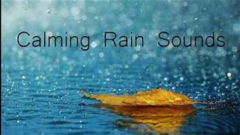 Calming Rain Sounds, Let YOUR MIND ROAM! - YouTube