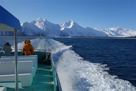 Resurrection Bay Archives - Alaska Travelgram