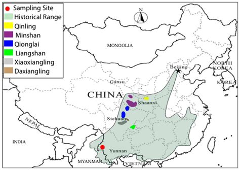 Giant Panda Habitat Map