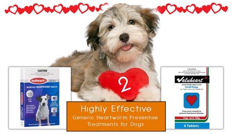 2 Highly Effective Generic Heartworm Preventive Treatments for Dogs - CanadaPetCare Blog