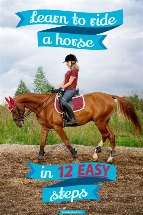 Learn To Ride A Horse In 12 Easy Steps: A Beginner’s Guide To Riding ...