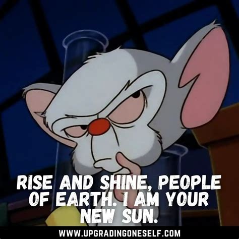 pinky and the brain quotes - Upgrading Oneself