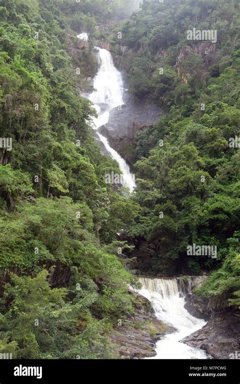 Surprise Falls in the wet season, Barron Gorge National Park, Cairns ...