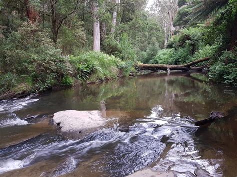 Free Camping Great Ocean Road - Camping sites & caravan parks