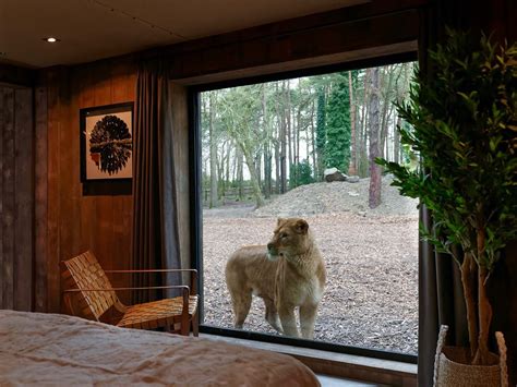 Lion Lodge | unique luxury and design-led wildlife-viewing lodge | Kent