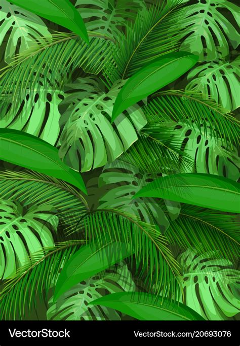 Tropical leaf background Royalty Free Vector Image