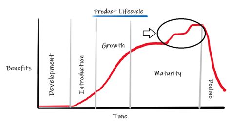 Product Life Cycle: What It Is, the 5 Stages, & Examples - Infoworldbiz