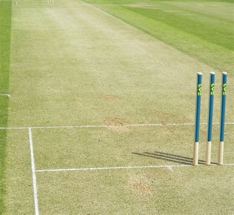 What Are the Different Types of Cricket Pitches? | Ponirevo