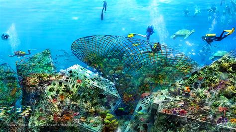 About - Underwater Gardens International | Providing Ocean Regenerative ...