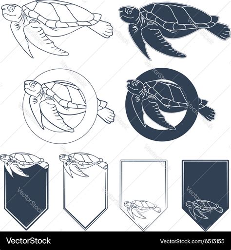 Sea turtle Royalty Free Vector Image - VectorStock