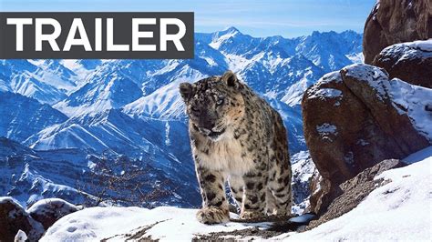 Planet Earth II: Official Extended Trailer | BBC Earth - YouTube